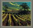 http://www.seewald.com/images/west_US/Napa%20Sonoma/napa_338kb_2_small.jpg